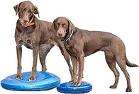 Manufacturer direct selling PVC dog flat slope training massage board